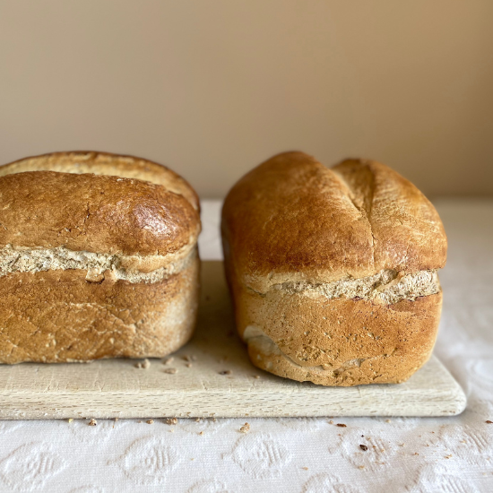 White Bloomer