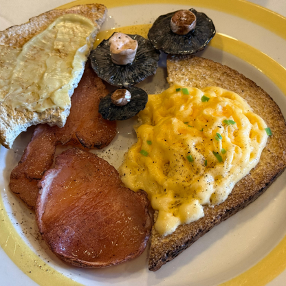 Fry Up Plate - Yellow plate, scrambled egg, mushroom, toast, bacon 😋