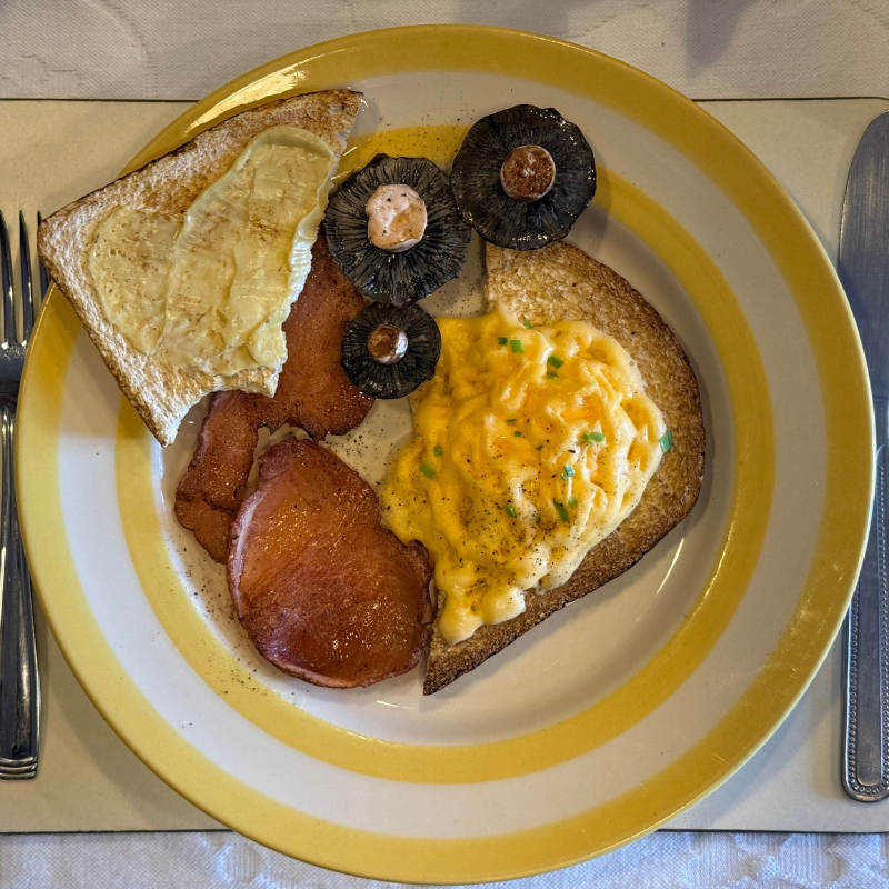 Fry Up Plate - Yellow plate, scrambled egg, mushroom, toast, bacon 😋