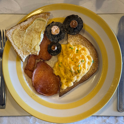 Fry Up Plate - Yellow plate, scrambled egg, mushroom, toast, bacon 😋