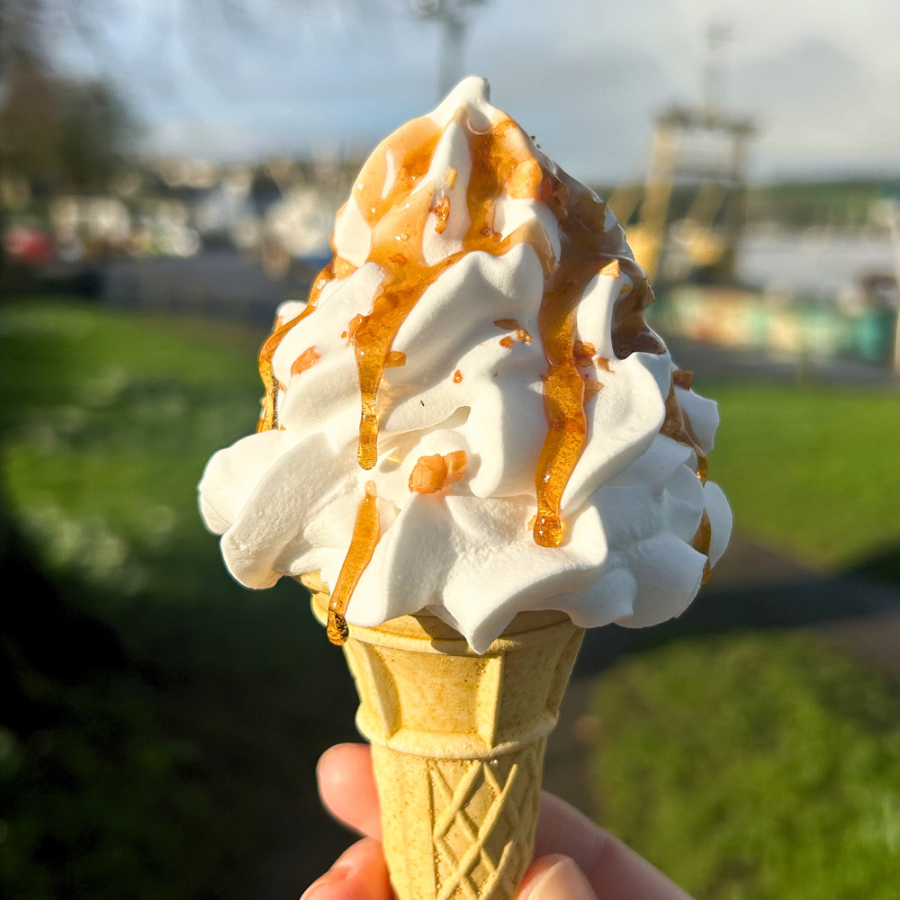 Vanilla Ice Cream with Caramel Sauce and Nuts