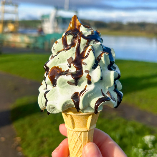 Mint Ice Cream with Chocolate Sauce
