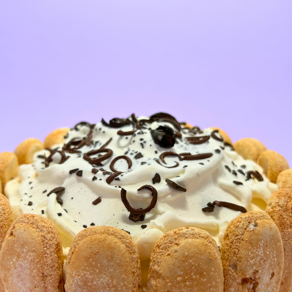 Chocolate Charlotte Cake