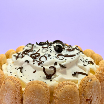 Chocolate Charlotte Cake