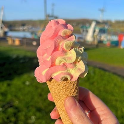 Strawberry & Custard Ice Cream Waffle Cone