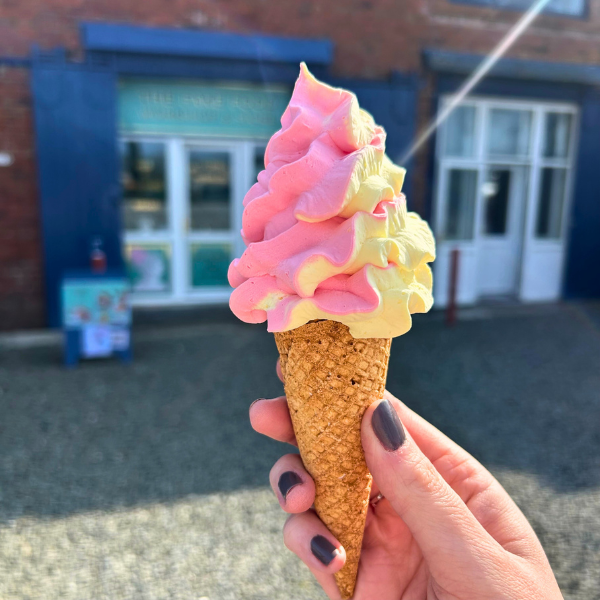 Strawberry & Custard Ice Cream Waffle Cone