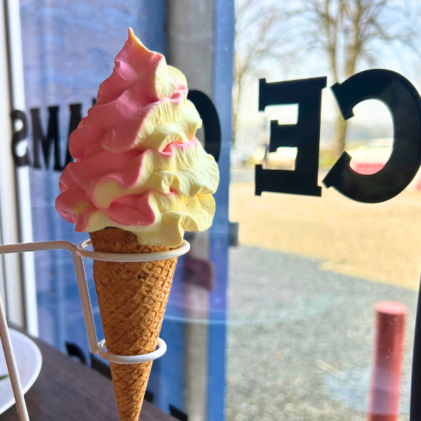 Strawberry & Custard Ice Cream Waffle Cone