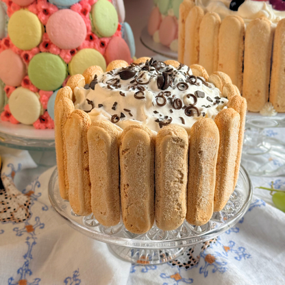 Chocolate Charlotte Cake